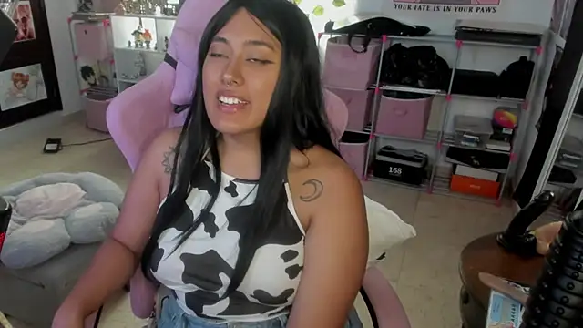 pawmistry online show from February 21, 2025, 2:17 am