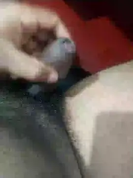 black panth99 online show from January 24, 2025, 7:41 am