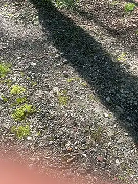 pupine35 online show from April 3, 2026, 10:13 am