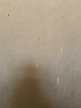 loveme99004 online show from March 18, 2026, 9:01 am