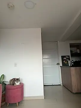 DakotaShelby online show from April 6, 2026, 10:22 pm