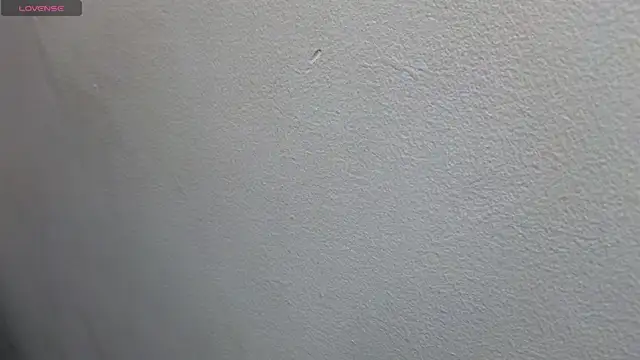 JESSYCORTES online show from February 17, 2025, 2:04 pm