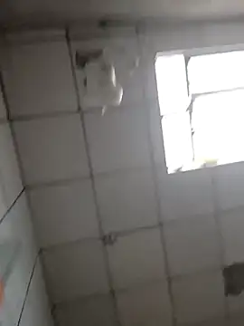 Snapshot of DitchingThrottle chatting on March 19, 2026, 12:31 pm DitchingThrottle online show from March 19, 2026, 12:31 pm