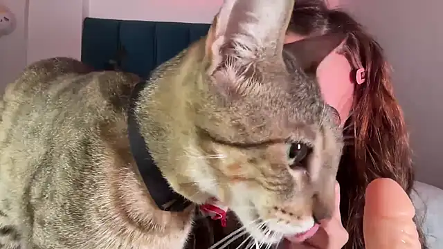 Snapshot of alice_guerin_ chatting on February 20, 2026, 6:26 am alice guerin online show from February 20, 2026, 6:26 am