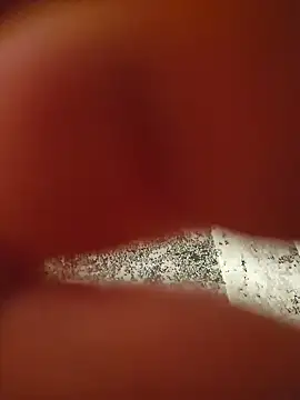 Warumnicht1980 online show from November 13, 2025, 7:35 pm