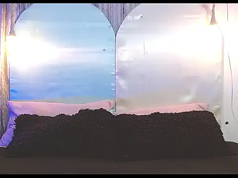 tylor boy online show from January 7, 2026, 4:26 am