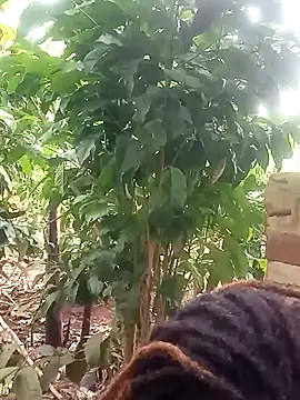 Black juicy24 online show from January 26, 2025, 12:01 pm