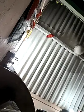 arppyyyxx online show from October 22, 2025, 7:35 pm