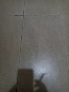 wildfox566 online show from January 18, 2026, 3:10 am