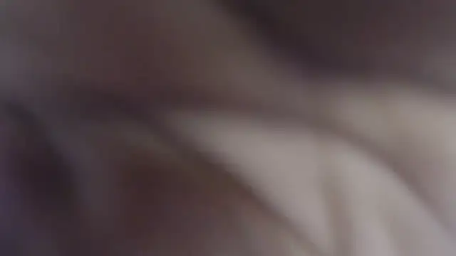 Foxybrownxx1 online show from April 5, 2026, 5:48 am