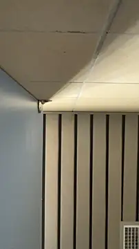 frnk30151 online show from September 21, 2025, 3:02 pm