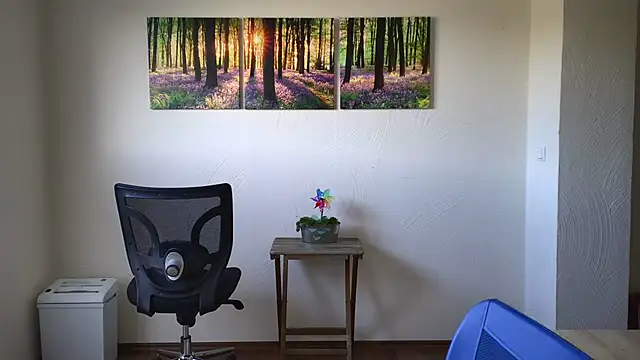 Harry Boldt online show from November 10, 2025, 12:15 pm