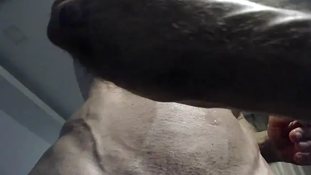 flexforyou online show from October 23, 2025, 7:18 am