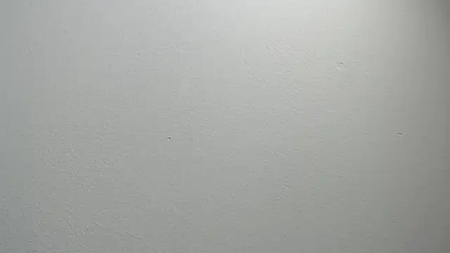 sussy leon online show from February 11, 2025, 12:16 pm