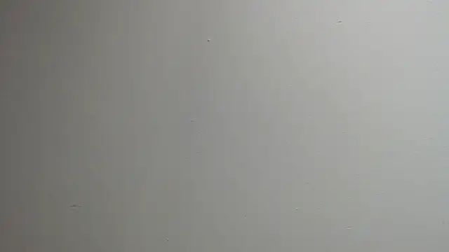 sussy leon online show from March 13, 2025, 12:35 pm