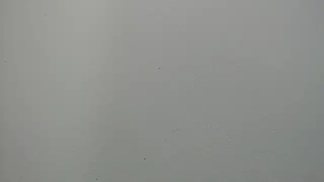 sussy leon online show from March 14, 2025, 1:02 pm