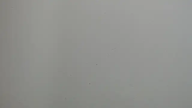 sussy leon online show from March 18, 2025, 12:25 pm