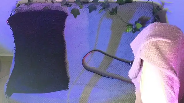 Alahia7demon online show from February 9, 2026, 2:04 am