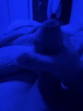 paolone79037 online show from April 22, 2026, 9:05 pm