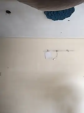 heartless  95 online show from October 20, 2025, 3:29 am