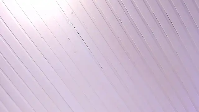 Ammy nova online show from November 1, 2025, 8:11 pm