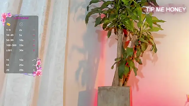 juanmiss online show from February 3, 2025, 9:41 am