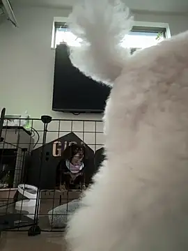 kensnb online show from March 8, 2025, 10:02 pm