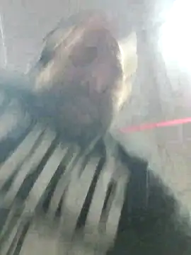 Strong Bear89 online show from December 2, 2024, 3:04 am