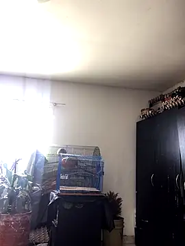 Miss oliviaa online show from October 22, 2025, 2:06 pm