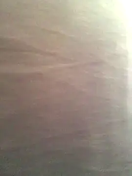 Miss oliviaa online show from November 13, 2025, 3:33 pm