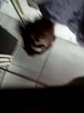 zoya khan25 online show from December 28, 2024, 2:42 pm