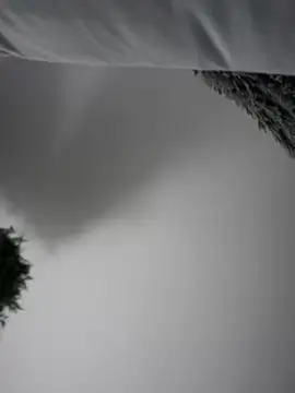 Aryrosee online show from January 3, 2025, 3:49 am