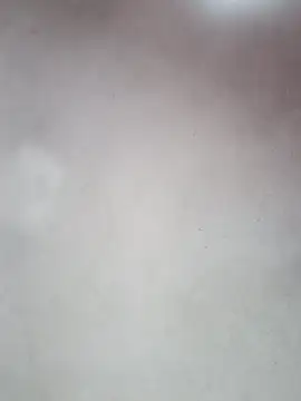  violetta - online show from October 12, 2025, 12:59 pm