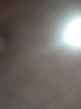  violetta - online show from October 16, 2025, 1:01 pm