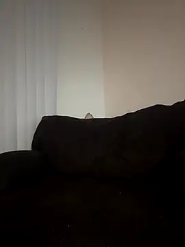 ladylavish online show from December 19, 2025, 2:29 am