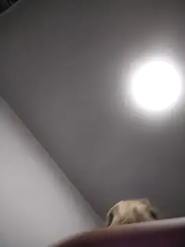 AudreySosa online show from March 13, 2025, 8:04 am