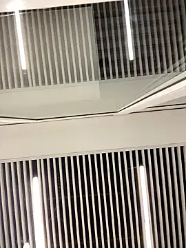 SuzieMurray online show from February 12, 2025, 8:27 am