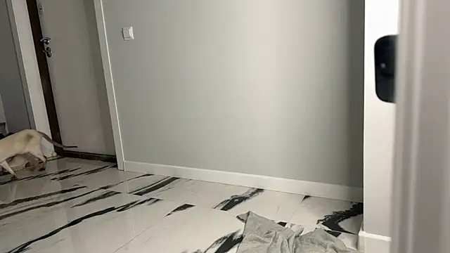 elisa moon online show from December 23, 2024, 5:06 am