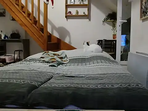 Lauzo21 online show from December 5, 2025, 6:33 am