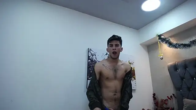 MrWilliseo online show from December 29, 2024, 11:29 pm