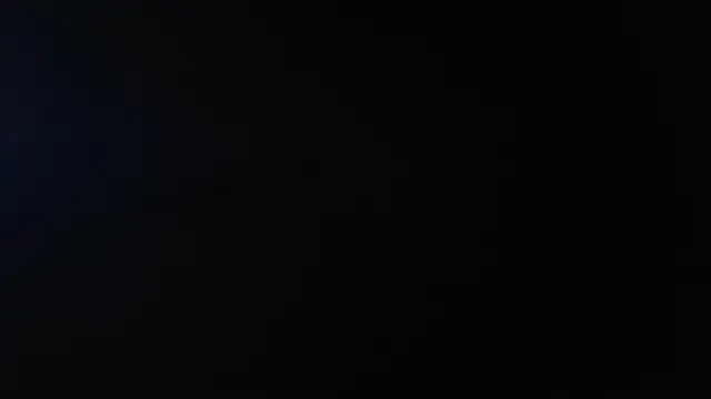 AvaCollinss online show from December 7, 2024, 12:35 pm