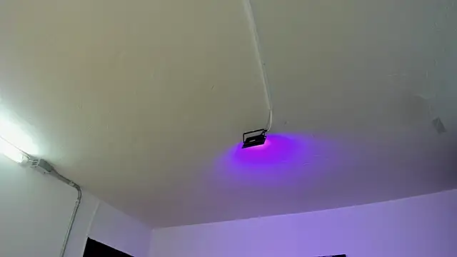 Amy Kiitty  online show from February 28, 2026, 1:01 pm