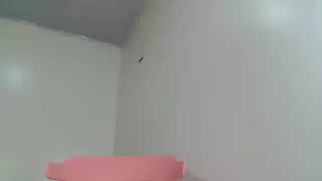 Full Fist online show from September 24, 2025, 2:31 pm