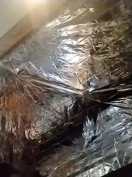 axelongshaft69 online show from December 19, 2024, 1:50 am