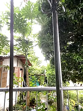 Jestebanano online show from October 18, 2025, 8:20 pm