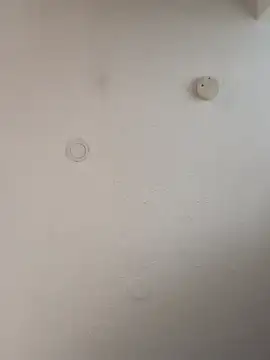 geilerschwanz64 online show from January 5, 2025, 12:10 pm