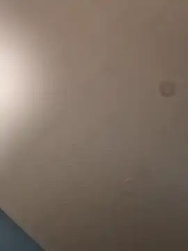 geilerschwanz64 online show from January 21, 2025, 5:16 am