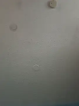 geilerschwanz64 online show from February 3, 2025, 5:46 pm