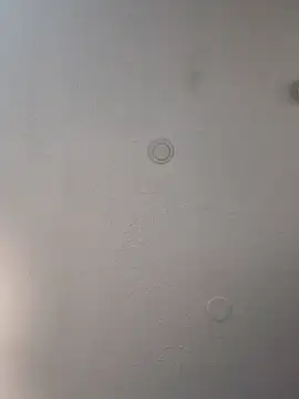 geilerschwanz64 online show from February 17, 2025, 9:19 pm