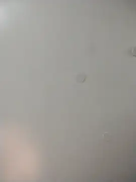 geilerschwanz64 online show from December 22, 2025, 6:38 pm